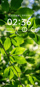 夏日绿荫