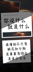 你说什么就是什么