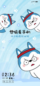 疯狂对视 星座狗