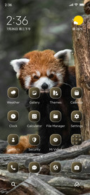 Baby Panda