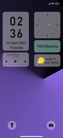Violet IZ V13