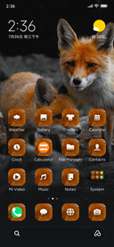 Wildlife_Fox