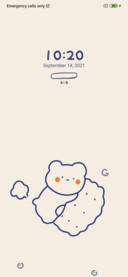 Bear cookies