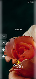 Rosse_Four