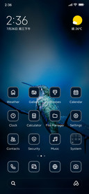 Blue Bird