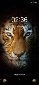 Tiger-Simplicity