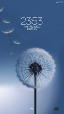 蓝色蒲公英