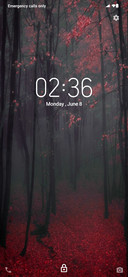Green Zone_DWM4