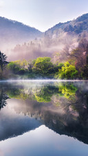 The light on the pond