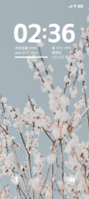 浅夏繁花