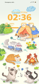 Travelling Cat