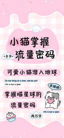 小猫掌握流量密码