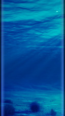 夏夜海底之梦