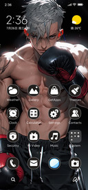 Boxing Boy