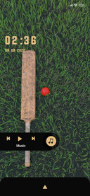 CricketGrass