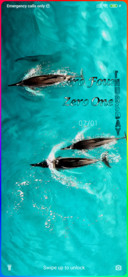 Dolphin Jess