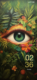 Jungle Eye