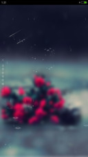 雨中美景+4d动态