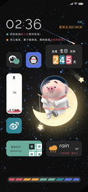 猪小屁冲向太空