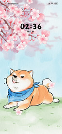 Cute Shiba Inu