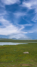 Amidst the clouds and shadows of the plateau meadow