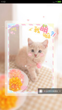 快乐小萌猫