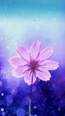 花间