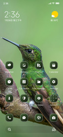 Hummingbird