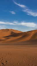 The desert is clouded and the sky is vast