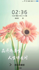 花开两面生