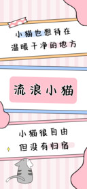 流浪小猫