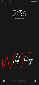 WildThing