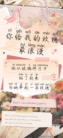 你给我的玫瑰最浪漫