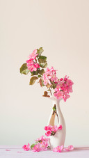Beautiful Ripe Apples and Branches in Vase on White