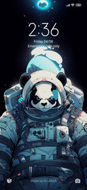 Panda astronaut
