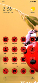 Ladybug_3MDS