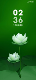 静心护眼 荷