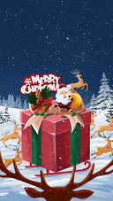 Merry Christmas and Happy Holiday!