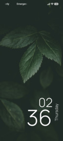 Fresh Verdure