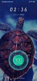 Tortoise_3MDP