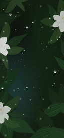 栀子花开鸭