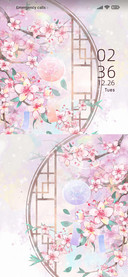 Peach blossom