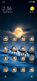 Moonlight Reinders