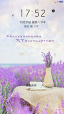 薰衣草的暗恋
