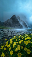 The summer in the depths of the tianshan mountains is