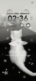 星耀元气小奶猫