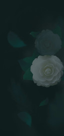 花自飘零