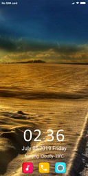 Desert Sand W10
