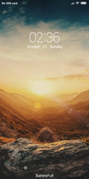 Sunny