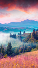 Scenery   (4)